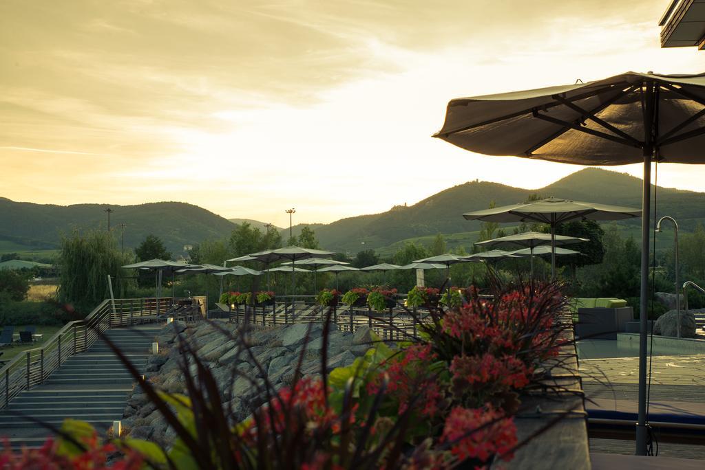 Hotel Barriere Ribeauville Exterior photo